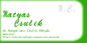 matyas csulik business card